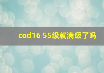 cod16 55级就满级了吗